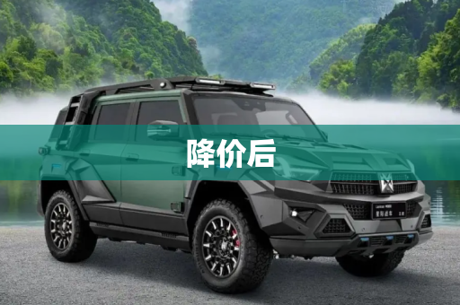 降价后