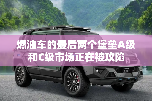 燃油车的最后两个堡垒A级和C级市场正在被攻陷
