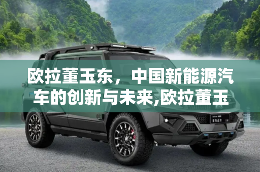 欧拉董玉东，中国新能源汽车的创新与未来,欧拉董玉东